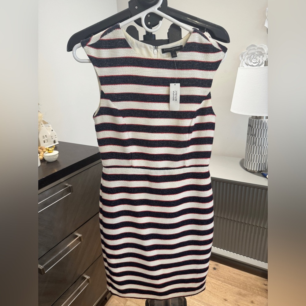 Banana Republic Navy and Red Striped Dress
